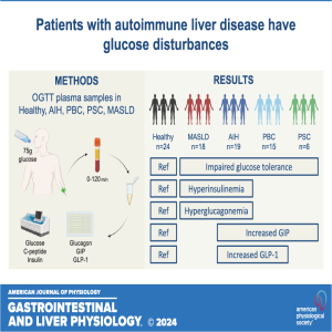 "Got Guts" The Micro Version: Autoimmune liver disease and hormonal responses