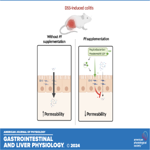 ”Got Guts” The Micro Version: 	Pf Inhibits Inflammation-Induced Epithelial Break-Down