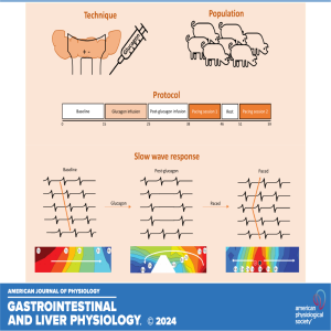 "Got Guts" The Micro Version: Pacing Inhibits Slow Wave Dysrhythmias in the Intestine