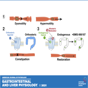 Got Guts: A new approach to treat gastrointestinal motility disorders