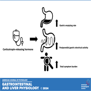 "Got Guts" The Micro Version: Corticotropin-Releasing Hormone Effects on Gastric Function
