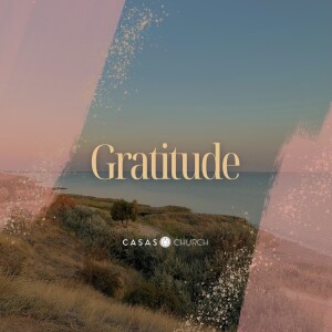 Gratitude/November 26, 20223/Ryan Kramer