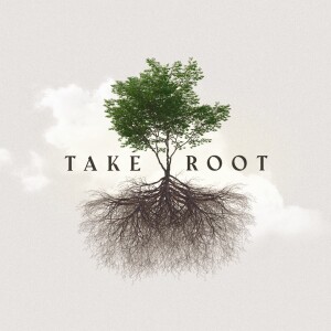 Take Root - Week Three - November 13, 2022 - Glenn Barteau