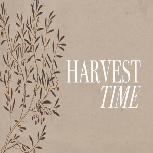 Harvest Time - Part 1