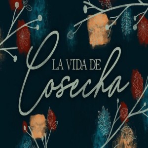 La Vida de Cosecha Parte 2 - Pastor Gabby Mejia