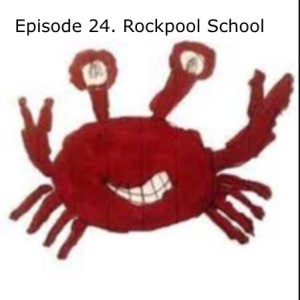 Rockpool School