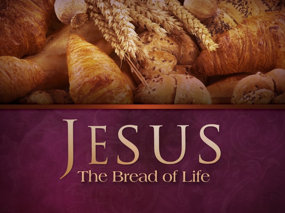 The Way is His Word and His Body - The Bread of Life