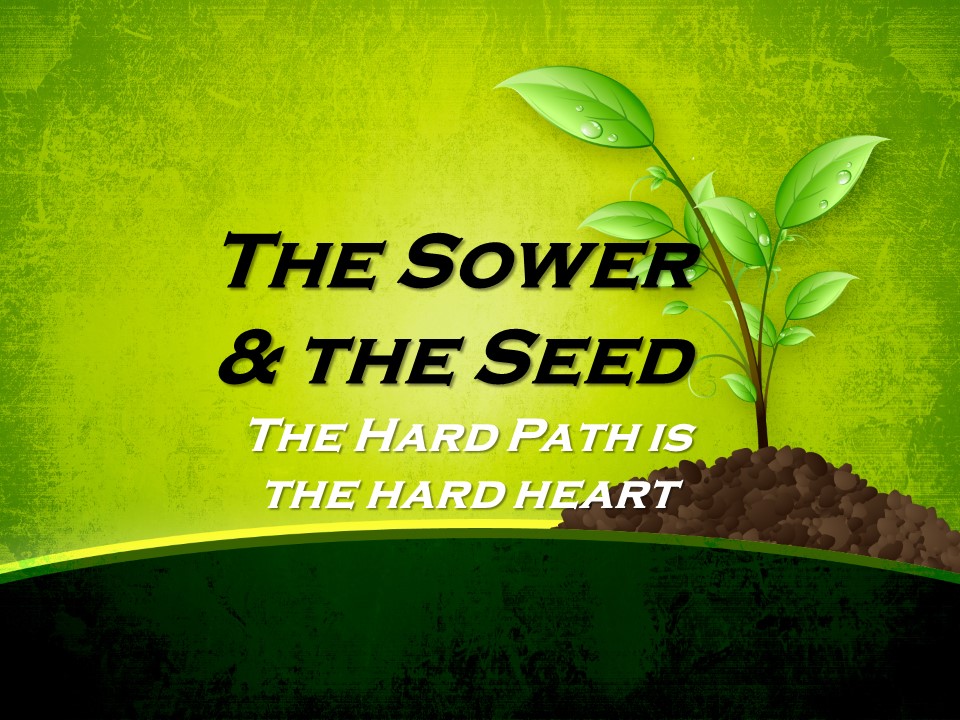 “Trampled & Devoured: The Seeds Along the Path”