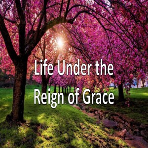 Life Under the Reign of Grace
