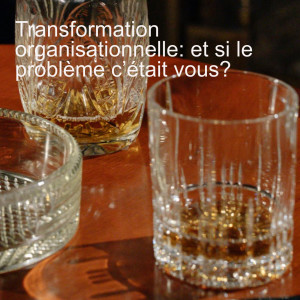 Transformation organisationnelle: et si le problème c’était vous?