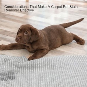 Considerations That Make A Carpet Pet Stain Remover Effective