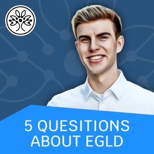 #028 | Basics | Top 5 questions about EGLD