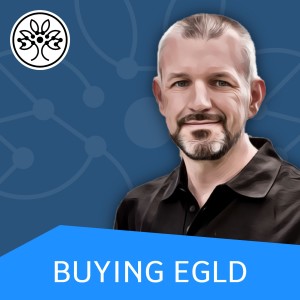 #023 | Basics | How to buy EGLD