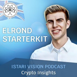 #051 | Insights | Elrond Starterkit