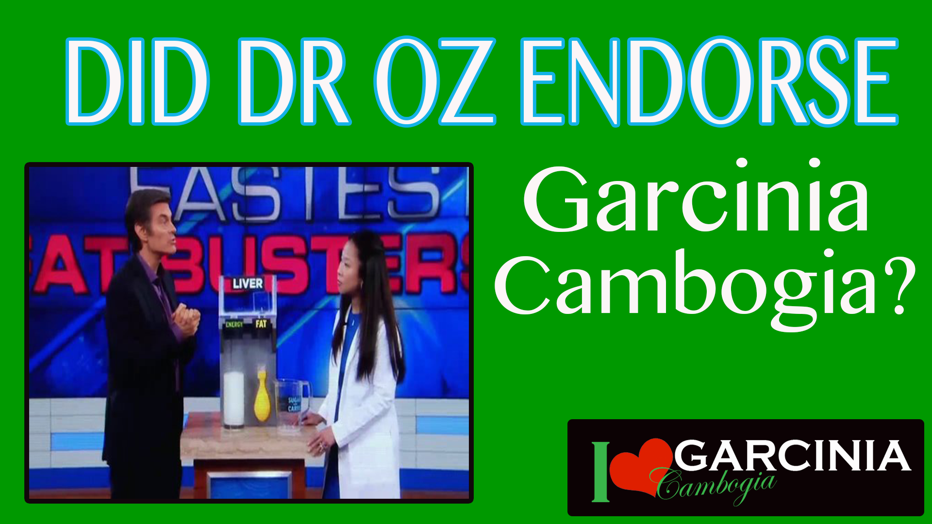 Did Dr Oz Really Endorse Garcinia Cambogia? Listen To Find Out!