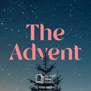 Introducing: The Advent