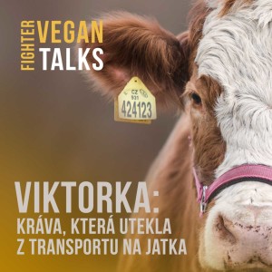 Viktorka: Kráva, která utekla z transportu na jatka | Vegan Fighter Talks ep. 1