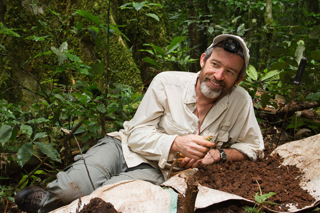 100 | Dr. Brian Fisher-biodiversity Scientist