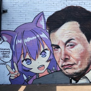 INDECENT EXPOSURE EDITION - ANIME TO TRANNY PIPELINE, BRAINWASHING, PORN, FURAFFINITY, ELON MUSK