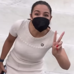 INCOMPLETE PICTURE EDITION - AOC ASS, PET SADNESS, $100 OF FOOD, MICHAEL MOORE, GUNS, TROON HATE