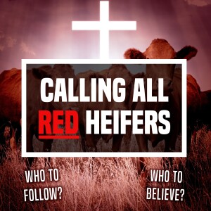 Calling All Red Heifers! - Ep 441 - 1-21-2024