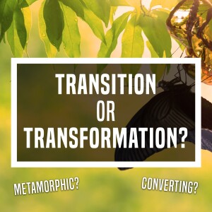 Transition or Transformation - Unplugged - Ep 437 - 1-16-2024