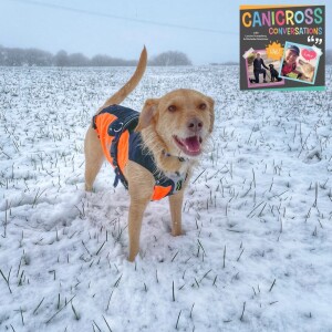 Dog coats with Non Stop Dogwear (Episode 94)