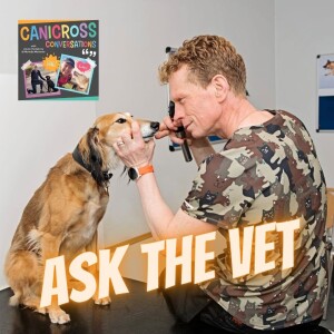 Ask the Vet: All you need to know about travelling abroad with your dog (Episode 74)