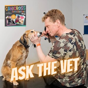 Ask the Vet: Hot weather advice for dogs (Episode 75)