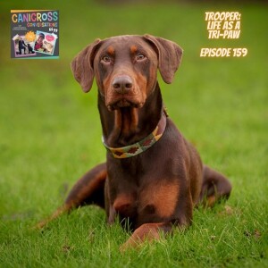 Trooper: Life as a Tri-Paw (Episode 159)