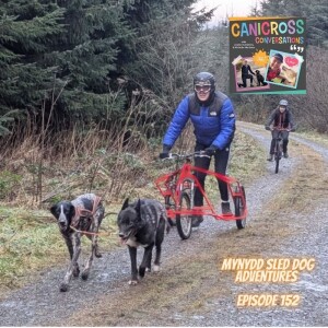 Mynydd Sled Dog Adventures (Episode 152)