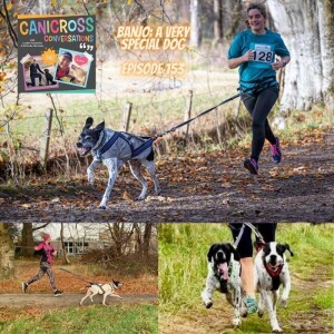 Banjo, a very special dog (Episode 153)