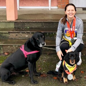 Dog in Yellow Day 20th March (Episode 56)