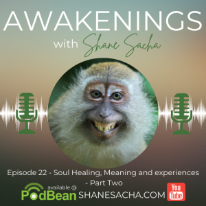 22 - Soul Healing, Meaning and Experiences - Part Two