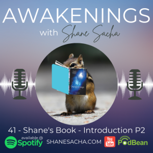 41 - Shane’s Book - Introduction Part 2