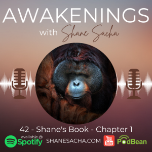 42 - Shane’s Book - Chapter 1