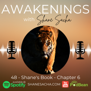 48 - Shane’s Book - Chapter 6