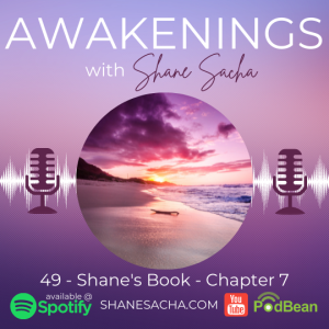 49 - Shane’s Book - Chapter 7