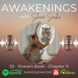 53 - Shane’s Book - Chapter 11