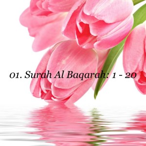 01. Surah Al Baqarah: 1 - 20