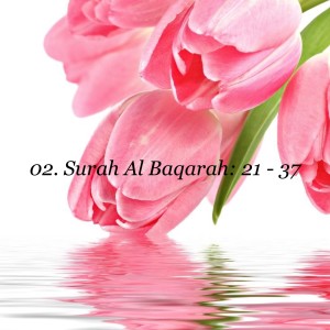 02. Surah Al Baqarah: 21 - 37
