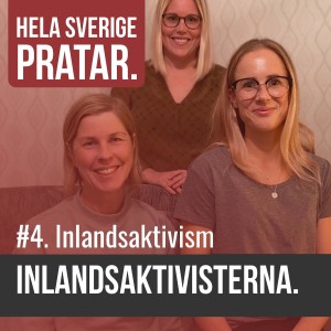 Hela Sverige pratar - inlandsaktivism