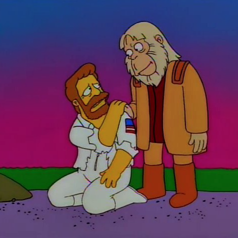 The Simpsons Index