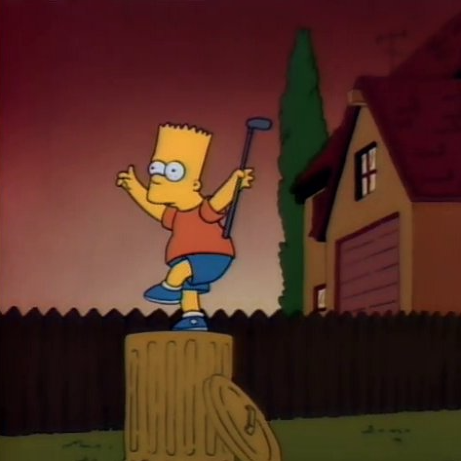 The Simpsons Index