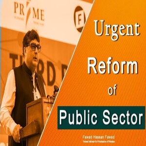 Reforming Pakistan's Public Sector