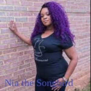 Soul on Soul with Phinesse: Special Guest-Nia the Songbird