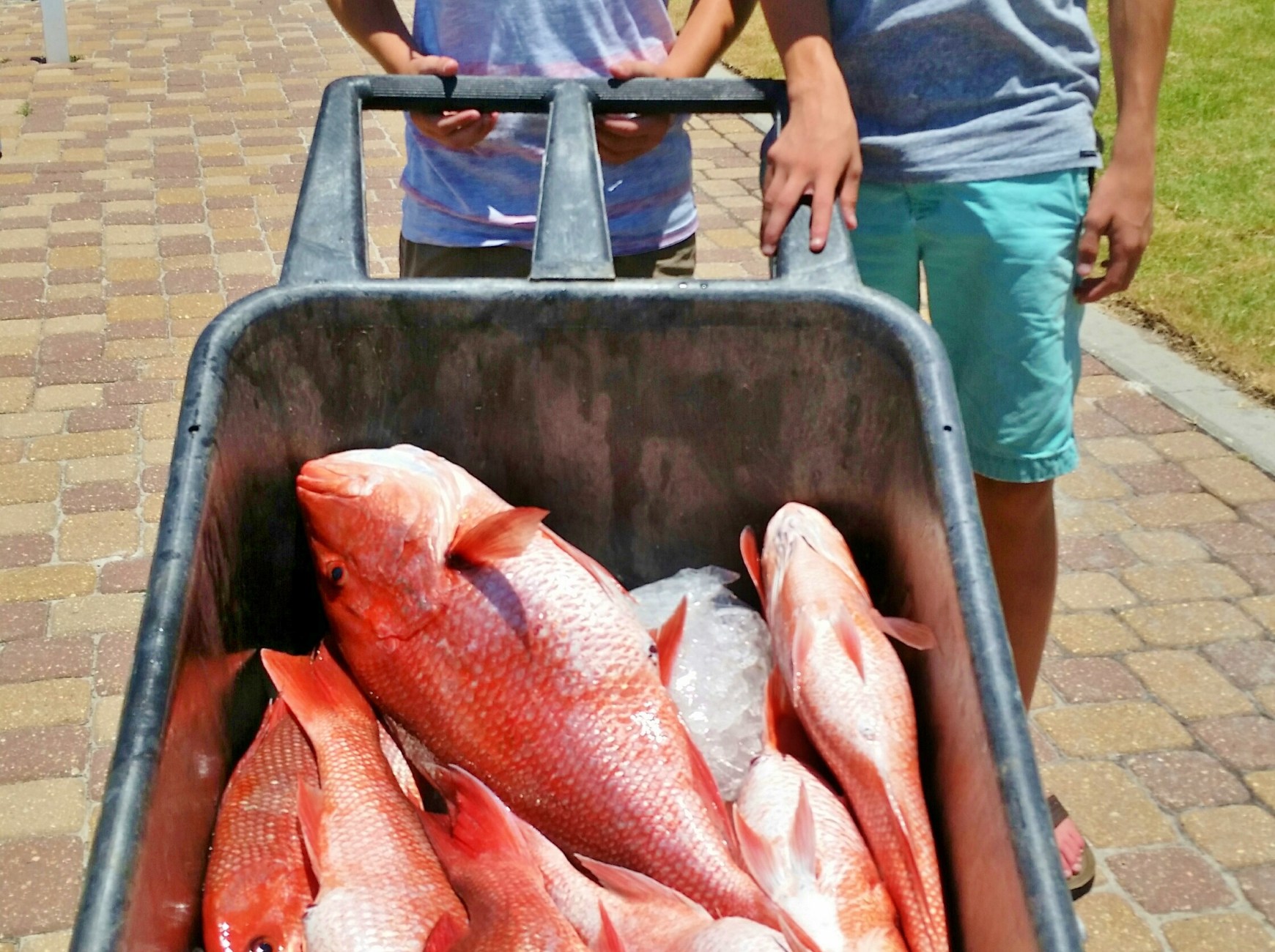 Perdido Key Deep Sea Fishing