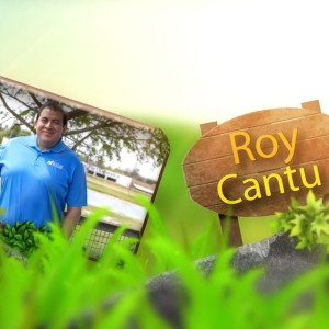 Outdoors with Roy: Spring Tips for your Home