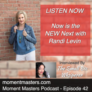 Episode 42 - Now is Your New Next with Randi Levin