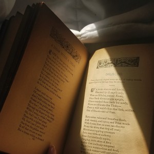 Poesi och tankar i tiden